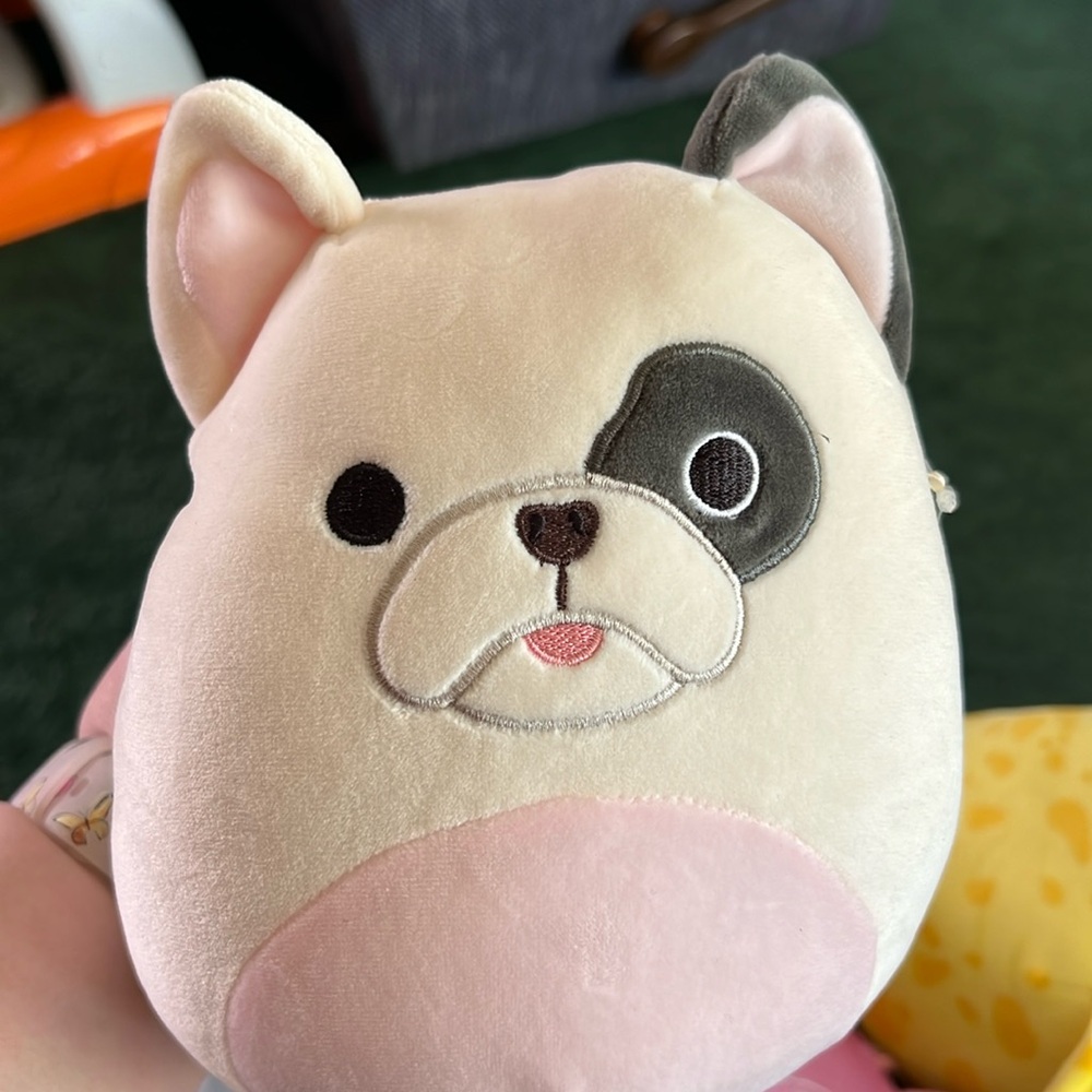 Dog squishmallow